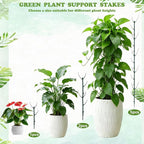 Stackable Monstera Moss Pole - Image 4