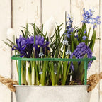 12Packs Plant Support Stakes Half Round Plant Stakes - Image 6
