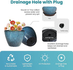 2 Pack Plastic Plant Pots with Drainage Holes, 8 inch Planter - Image 3