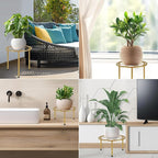 5 Pack Metal Plant Stand, Anti-Rust Iron Plant Stands - Image 6