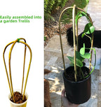 Avalution 16" Natural Bamboo Plants Trellis U-Hoop, Bamboo Gaeden Trellis - Image 4