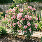 4 Pack 56'' Indoor Plant Trellis - Image 6