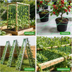 DECYOOL 2 Pieces Trellis Netting - Image 7