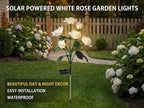 Solar Garden Rose Lights by FANCYPOP, 2 Pack Most Realistic 12 LED Flower Stake - Image 2