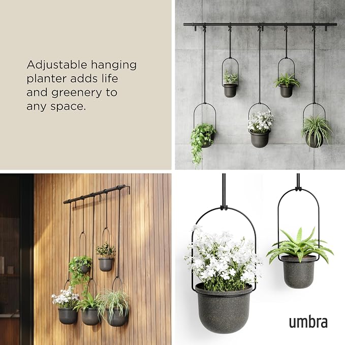 Umbra Triflora Hanging Planter for Window, Indoor Herb Garden - Image 4
