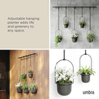 Umbra Triflora Hanging Planter for Window, Indoor Herb Garden - Image 4