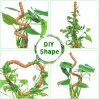4 Pack 28 Inch Moss Pole Monstera Plant Support, Coir Moss Poles - Image 5
