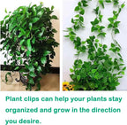 Plant Climbing Wall Fixture Clips, Traction Support Holder, Invisible Leaf Clips - Image 7