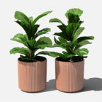 Veradek Demi Series Round Planter - Image 8