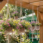 6 Pack Self Watering Hanging Planters Indoor Flower Pots Visible Water Level - Image 5