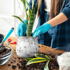 6 Inch Ceramic Plants Pots Vintage Ceramic Flower Planters Crackle Glaze Finish - Image 6
