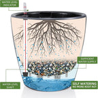 Dexceder 15x14 Self Watering Planter - Image 2