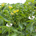 OJYUDD 400 Pcs White Plant Support Garden Clips, Plastic Tomato Vine Clips - Image 7