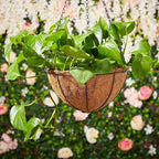 Hanging Baskets Planter for Plants - Image 6