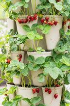 Greenstalk Patented Large 5 Tier Vertical Garden Planter - Image 4
