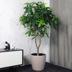 Dexceder 13x12 Self Watering Planter - Image 6