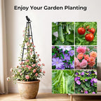 Garden Trellis for Climbing Plants Outdoors, Vegetables - Image 8