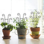 Coomin Small Plant Trellis for Climbing Plants Indoor, 14.5in Metal House Plant - Image 5
