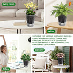 Cdd's Path Upgraded 5-Pack 6 Inch Naked Root Planter Self Watering Pots Set - Image 5