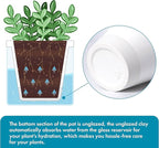 D'vine Dev 4 Inch Design Self Watering Planter - Image 4