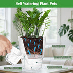 KIMCHOMERSE Self Watering Plant Pots, 6 Inch Plant Pots White, 3 Pack Flowers - Image 5