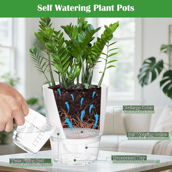 KIMCHOMERSE Self Watering Plant Pots, 6 Inch Plant Pots White, 3 Pack Flowers - Image 5