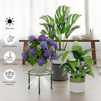 5 Pack Plant Stand for Flower Pot Heavy Duty Potted Holder Home, Round Plant - Image 4