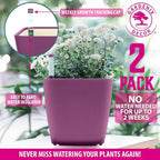 GARDENIX DECOR 5" Self Watering pots - Image 5