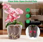 5 Inch Side-Open Orchid Pots 6 Pack, Breathable Slotted Flower Pots - Image 3