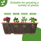 5 Tier Vertical Raised Garden Bed Planter Box, Vertical Raised Bed - Image 3