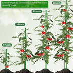 30Pcs Plant Support Stakes 17 inch SupKing Garden Orchid Sticks Extended to 3ft - Image 4