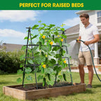 Cucumber Trellis, Metal Garden Trellis - Image 6