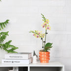 4.1 inch 4 pcs Ceramic Plant Pots - Image 4