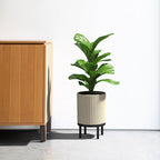 Veradek Demi Series Round Planter w/ Stand - Image 4