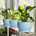 SQOWL Ceramic Plant Pots - Image 6