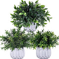 Winlyn 3 Pcs Faux Potted Plants Set by Winlyn