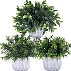 Winlyn 3 Pcs Faux Potted Plants Set by Winlyn