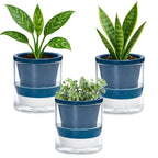 D'vine Dev 4 Inch Design Self Watering Planter by DvineDevPlanterPotsandStand