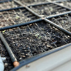 The Garden Grid | Preassembled Garden Watering System - Image 7