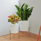 ARNIS Plants Pots with Stand, Unique Mid Century Decorative Metal Flower Pots - Image 2