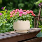 G EPGardening Ceramic Pot for Plants - Image 4