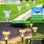 Solar Lights Outdoor, 8 Pack Mushroom Lights Outside Waterproof, Solar Powered - Image 3