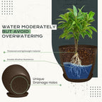 Utopia Home - Plant Pots Indoor - 7/6.6/6/5.3/4.8 Inches Home Decor Flower Pots - Image 3