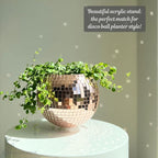 SCANDINORDICA Disco Ball Planter – Value Package: Mirror Disco Planter - Image 6