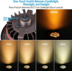 LEONLITE Dia. 4 Inch Well Lights Landscape LED In Ground, Grated Top, 5 Color - Image 3