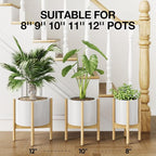 MUDEELA Plant Stand for Indoor Plants: Adjustable Width Fits 8-12 Inch Pots - Image 3
