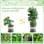 Riare 2 Pack 5.2 FT Tomato Cages - Image 6