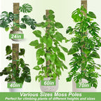 60" Metal Moss Pole, D Shape Sphagnum Moss Pole, Moss Poles - Image 8