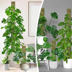 60"/40"/24" Metal Moss Pole, D Shape Sphagnum Moss Pole, Moss Poles - Image 8