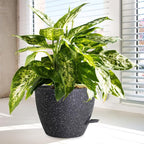 12/10/9 inch Large Self Watering Pots, Plant Pots - Image 6